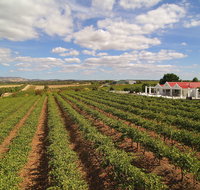 1837 Barossa Luxury Vineyard Cottages - Accommodation Whitsundays