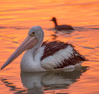 4 Pelican Court - River Shack Rentals - Accommodation Whitsundays