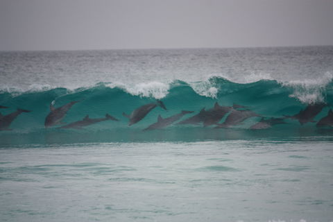 Bremer Bay Caravan Park - Accommodation Whitsundays 1