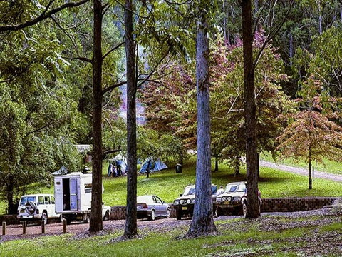 Dingo Tops Campground - Accommodation Whitsundays 2