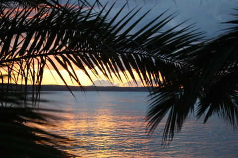 Edgewater Gardens - Accommodation Whitsundays 2