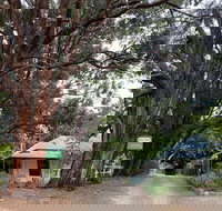 Fernleigh Accommodation - Accommodation Whitsundays