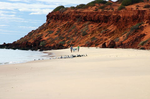 Herald Bight Camp At Francois Peron National Park - Accommodation Whitsundays 0