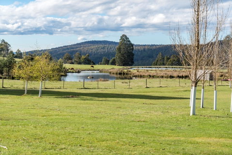 Highland Caravan Park - Accommodation Whitsundays 1