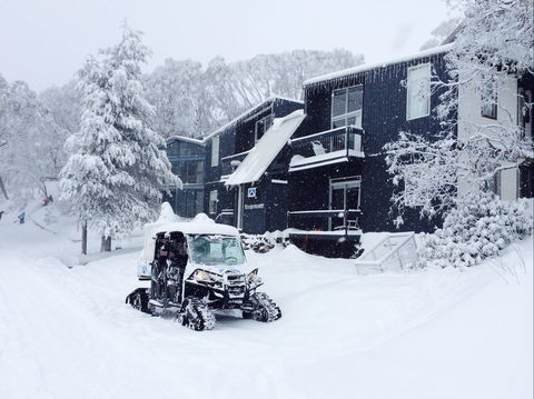 Kilimanjaro Alpine Apartments - Accommodation Whitsundays 2