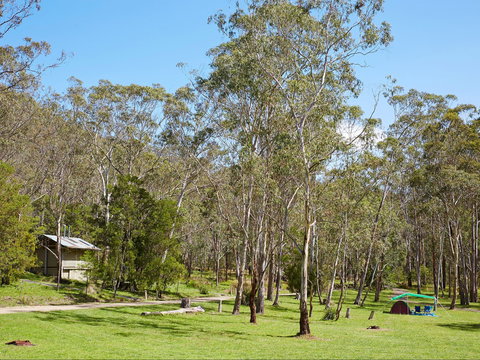 Main Range National Park Camping - Accommodation Whitsundays 0