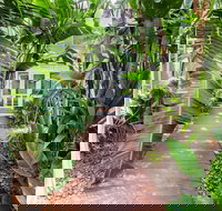 The Guesthouse at Raffertys Resort - Accommodation Whitsundays