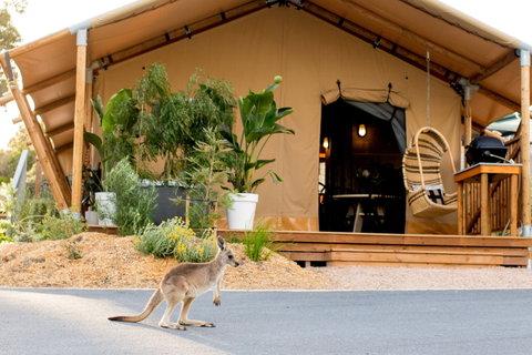 BIG4 Anglesea Holiday Park - Accommodation Whitsundays 2