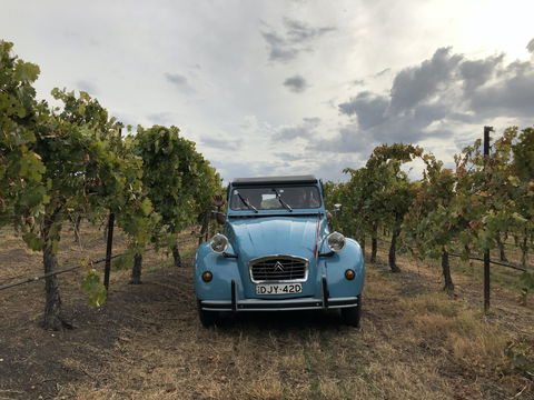 Birches Bed And Breakfast Mudgee - Accommodation Whitsundays 2