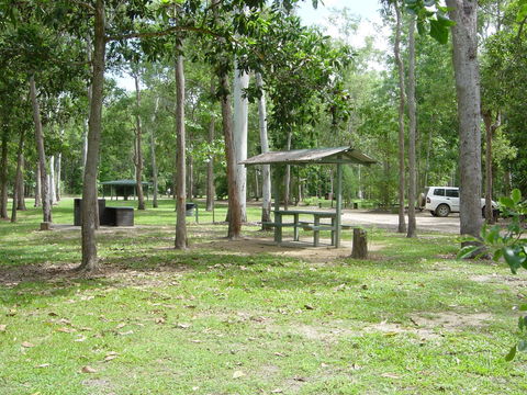 Broadwater Camping Area, Abergowrie State Forest - Accommodation Whitsundays 0