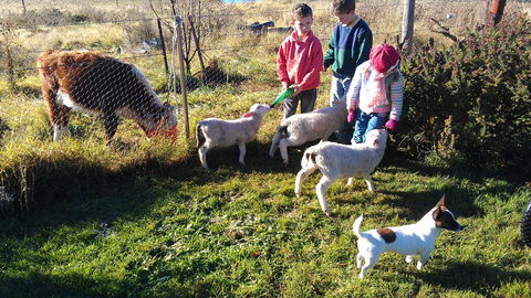 Dairy Park Farm Stay Bed And Breakfast - Accommodation Whitsundays 2