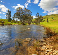 Elm Cottage Tumut - Accommodation Whitsundays