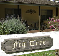 Figtree Cottage - Accommodation Whitsundays