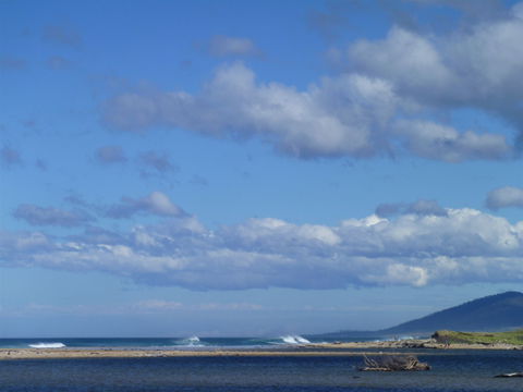 Scamander On The Beach - Accommodation Whitsundays 1