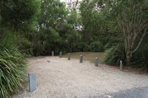 Springbrook National Park Camping - Accommodation Whitsundays 0