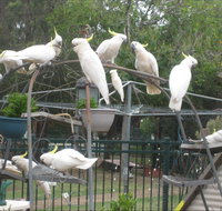 Winnamatta Guest House - Accommodation Whitsundays