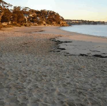 Beachhaven Bed & Breakfast - Accommodation Whitsundays 5