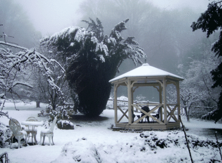 Arcadia Cottages - Accommodation Whitsundays 2