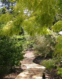 Eagle Hammer Cottages - Accommodation Whitsundays 0