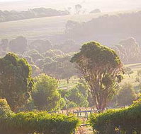 Mackas Farm - Accommodation Whitsundays