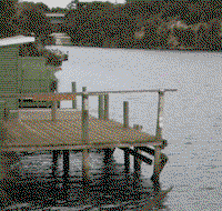 Wrens on Glenelg - Accommodation Whitsundays