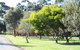Otways Tourist Park - thumb 0