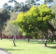 Otways Tourist Park - Accommodation Whitsundays