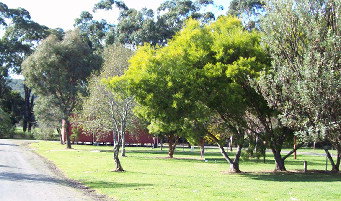 Otways Tourist Park - Accommodation Whitsundays 0