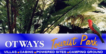 Otways Tourist Park - Accommodation Whitsundays 4