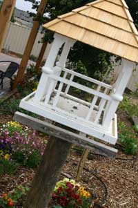 Canadian Lodge - Accommodation Whitsundays 2