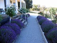 Canadian Lodge - Accommodation Whitsundays 3