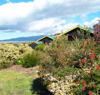 Black Cockatoo Cottages - Accommodation Whitsundays