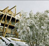 Silverski - Accommodation Whitsundays