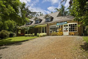 Tamborine Mountain QLD Accommodation Whitsundays