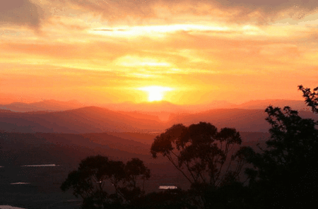 Avocado Sunset - Accommodation Whitsundays