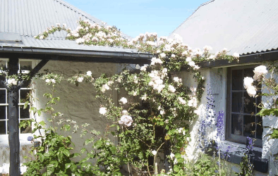 Orford Sanda House B&B - Accommodation Whitsundays 1