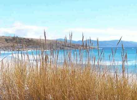 Four Mile Beach TAS Accommodation Whitsundays