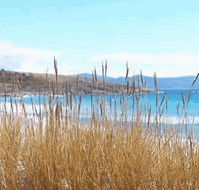 White Sands Estate - Accommodation Whitsundays