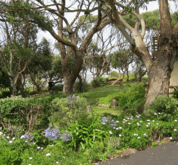 Anchlia Waterfront Cottage - Accommodation Whitsundays 2