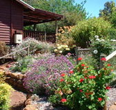 Chestnut Brook Cottage - Accommodation Whitsundays
