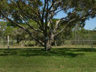 Hawks Nest Holiday Park - Accommodation Whitsundays 3