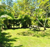 Wooli Caravan Park - Accommodation Whitsundays