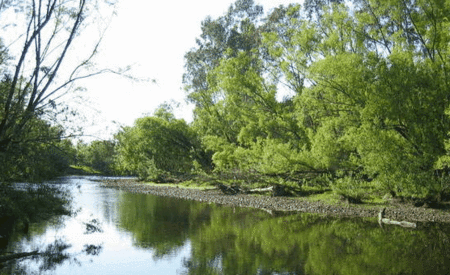 Ribbonwood Cottages - Accommodation Whitsundays