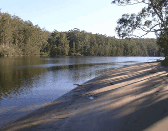 Riverbend Cottage - Accommodation Whitsundays 1