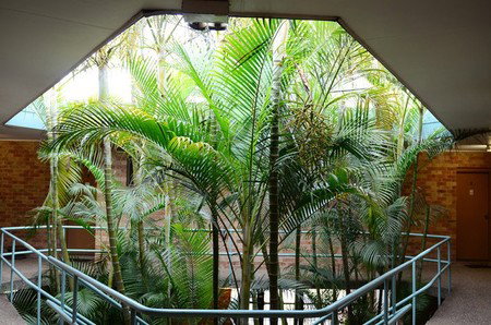 Bankstown Motel 10 - Accommodation Whitsundays 5