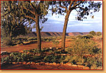 Kings Creek Station - Accommodation Whitsundays 1