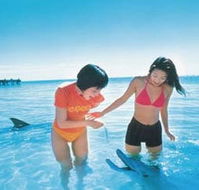 Kookaburra Air - Accommodation Whitsundays