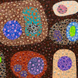 Turner Galleries - Accommodation Whitsundays