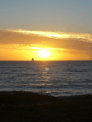 Kidogo Arthouse - Accommodation Whitsundays 1
