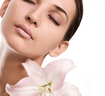 Stephanies Spa Retreat - Accommodation Whitsundays